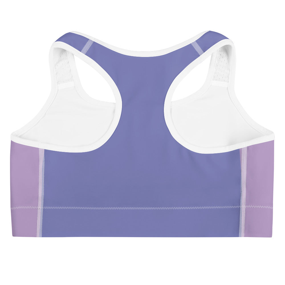 Two Tone Purple Sports Bra