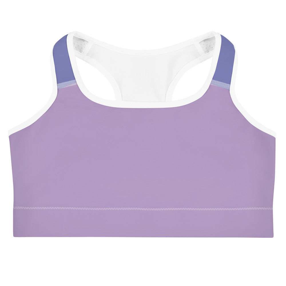 Two Tone Purple Sports Bra