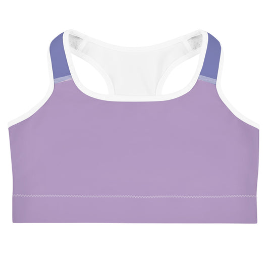 Two Tone Purple Sports Bra